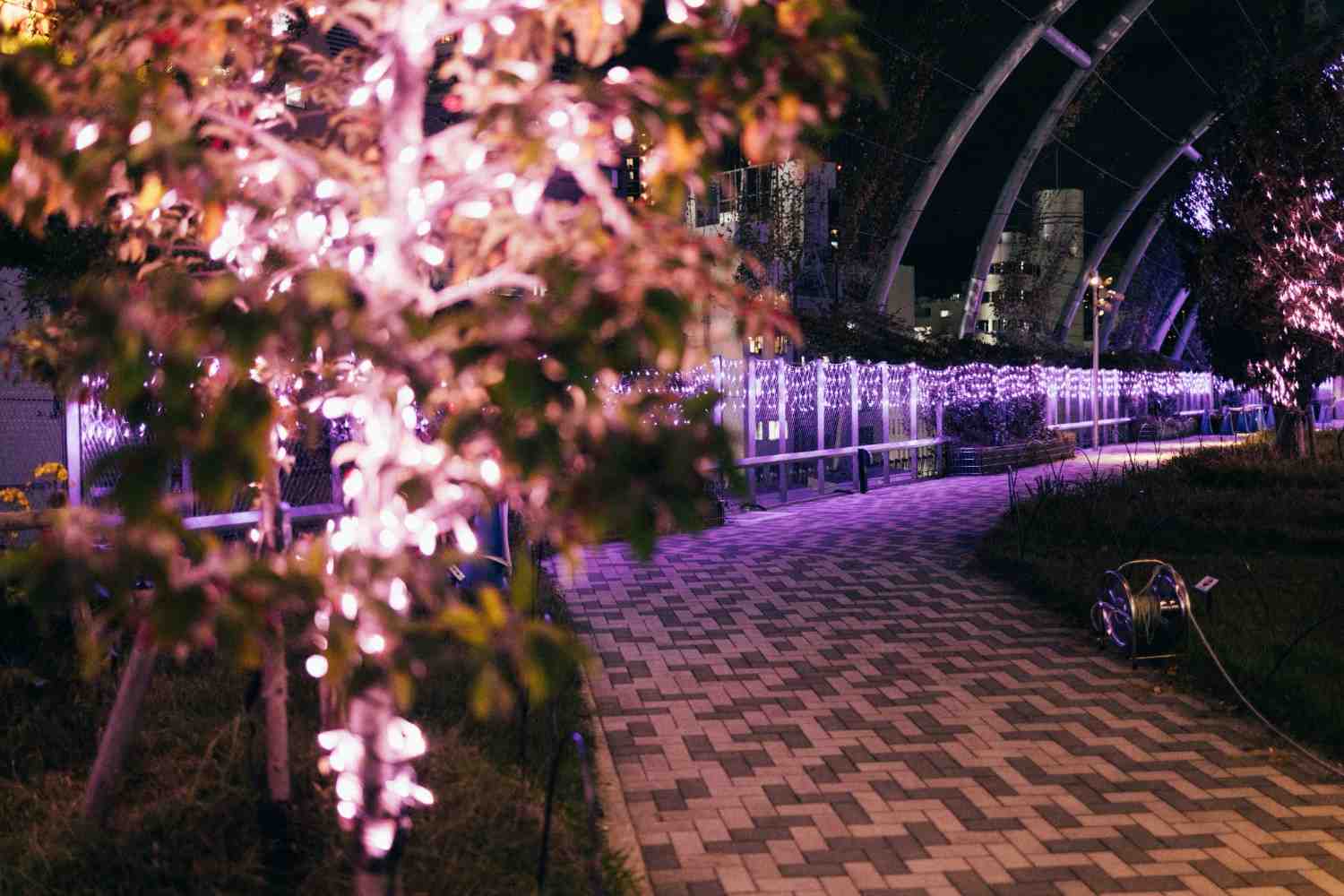 Image of Dubai Garden Glow