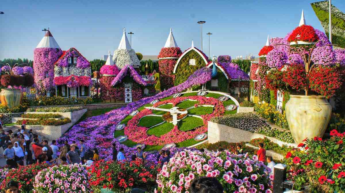 Image of Dubai Miracle Garden